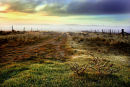 The Road Less Travelled